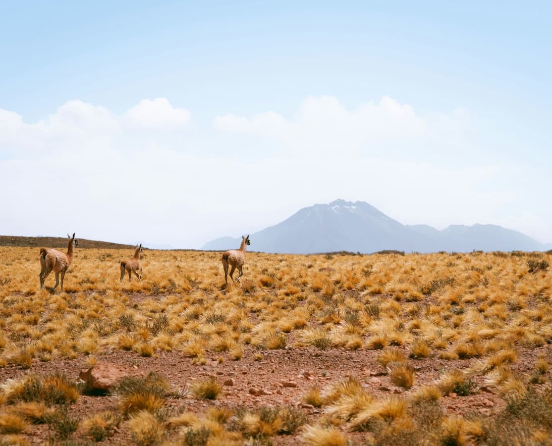 Gabrielle maurer qbi Fgmol Gs A unsplash 2