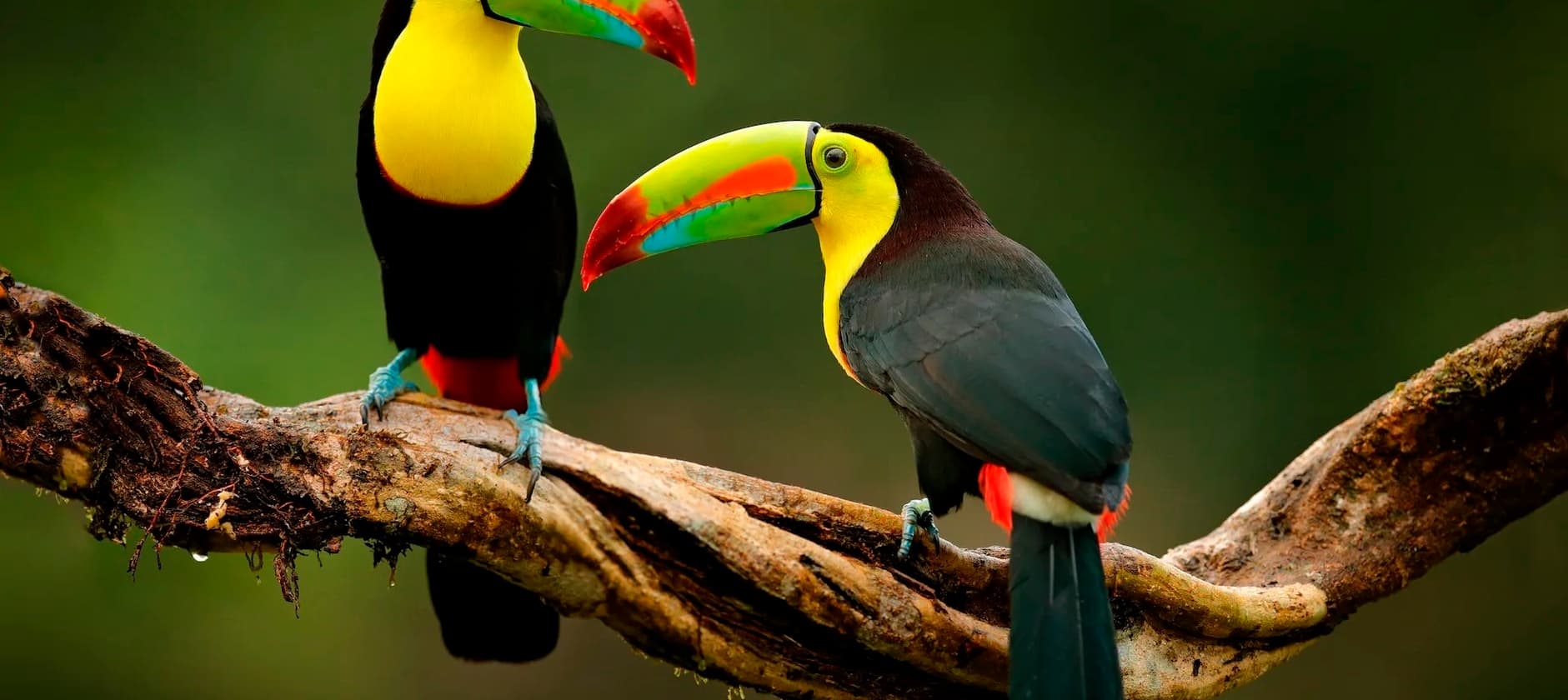 Costa Rica ST