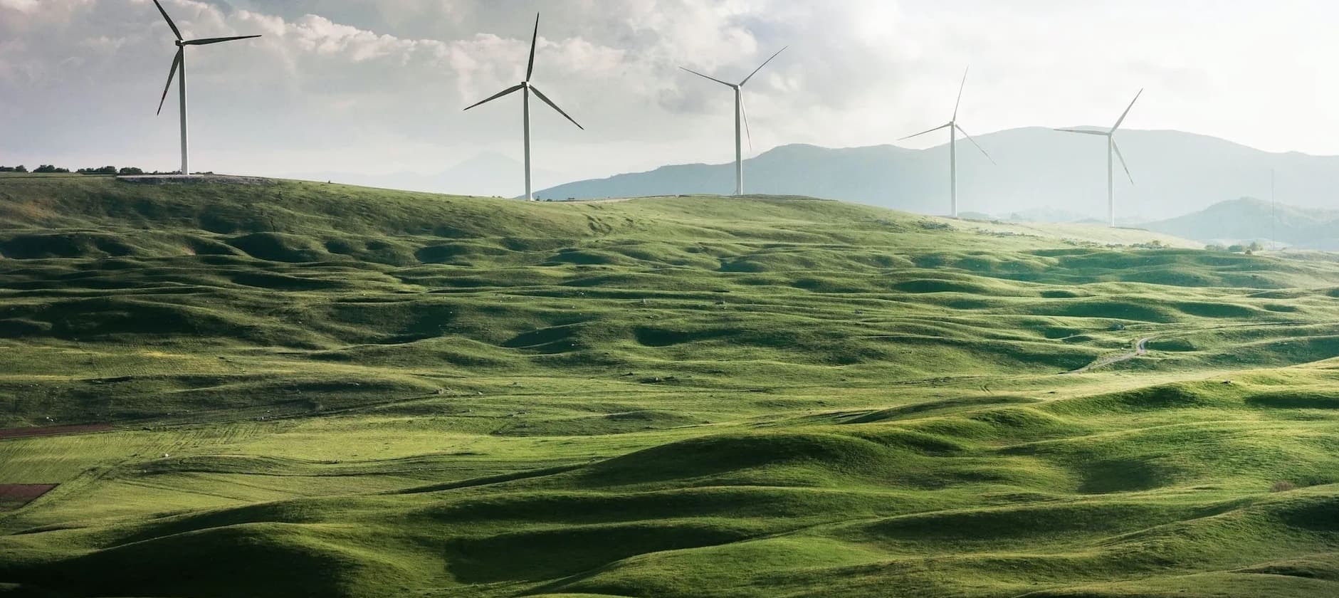 Image by Appolinary Kalashnikova on Unsplash