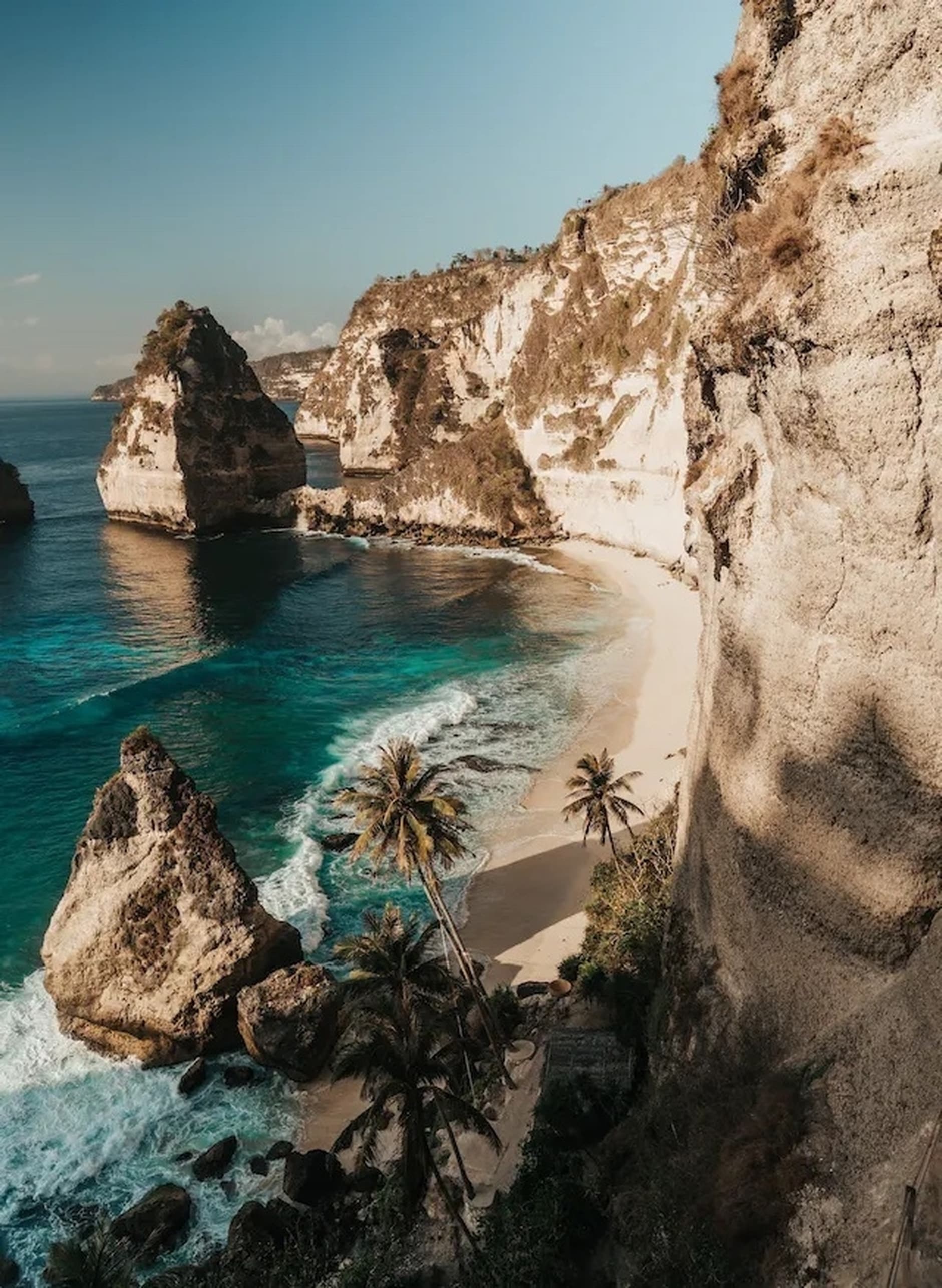Image by Alexa West on Unsplash