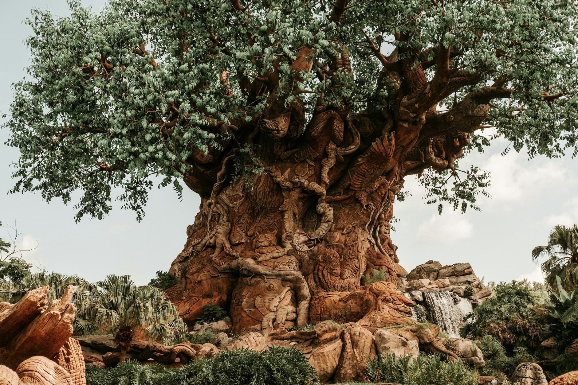 Image by David Santoyo on Unsplash