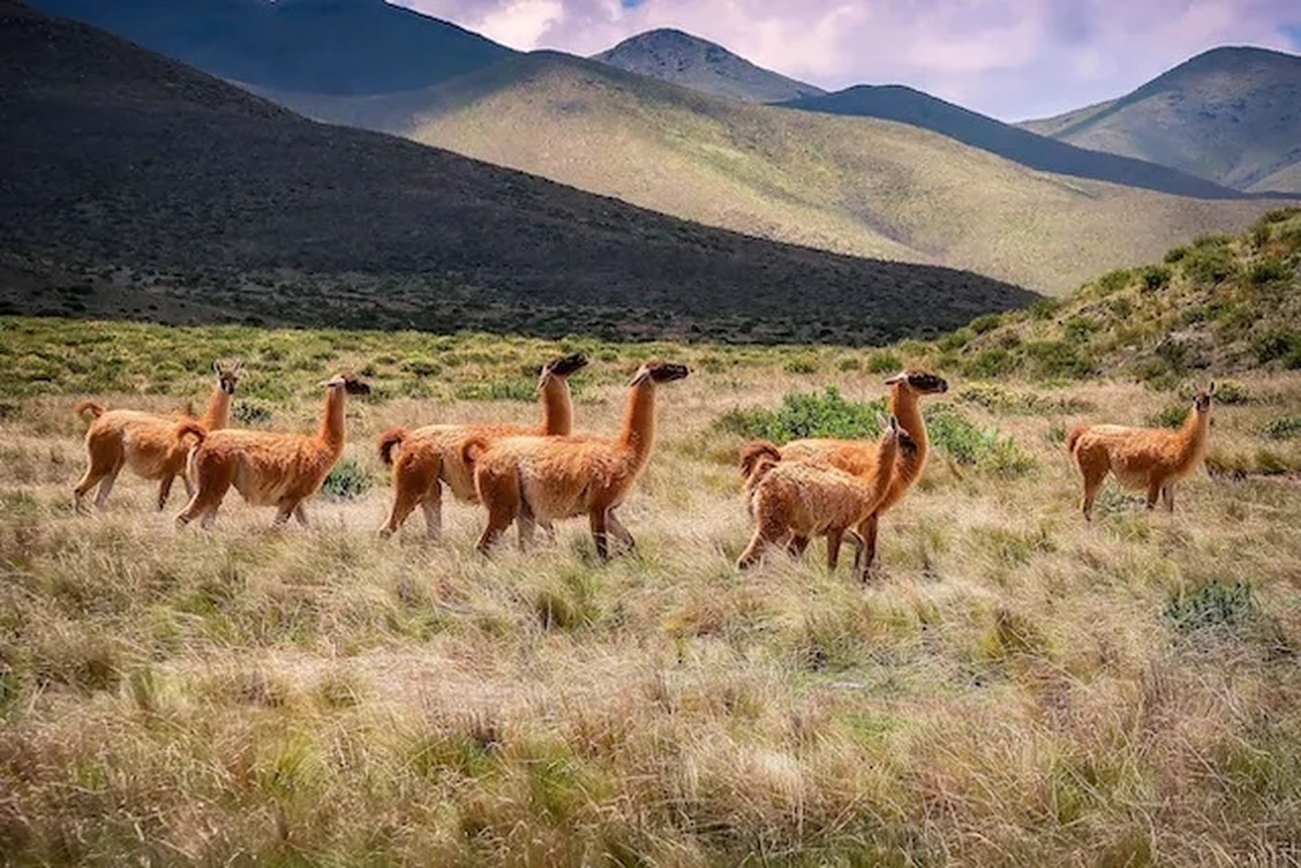 Salta, Argentina. Image by Hector Ramon Perez on Unsplash.