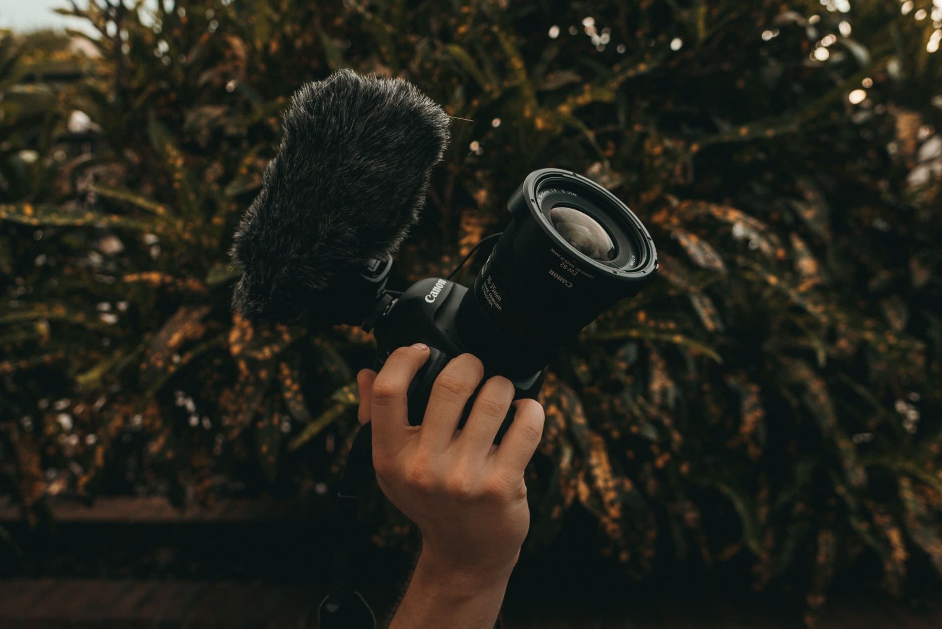 Image by Kal Visuals on Unsplash