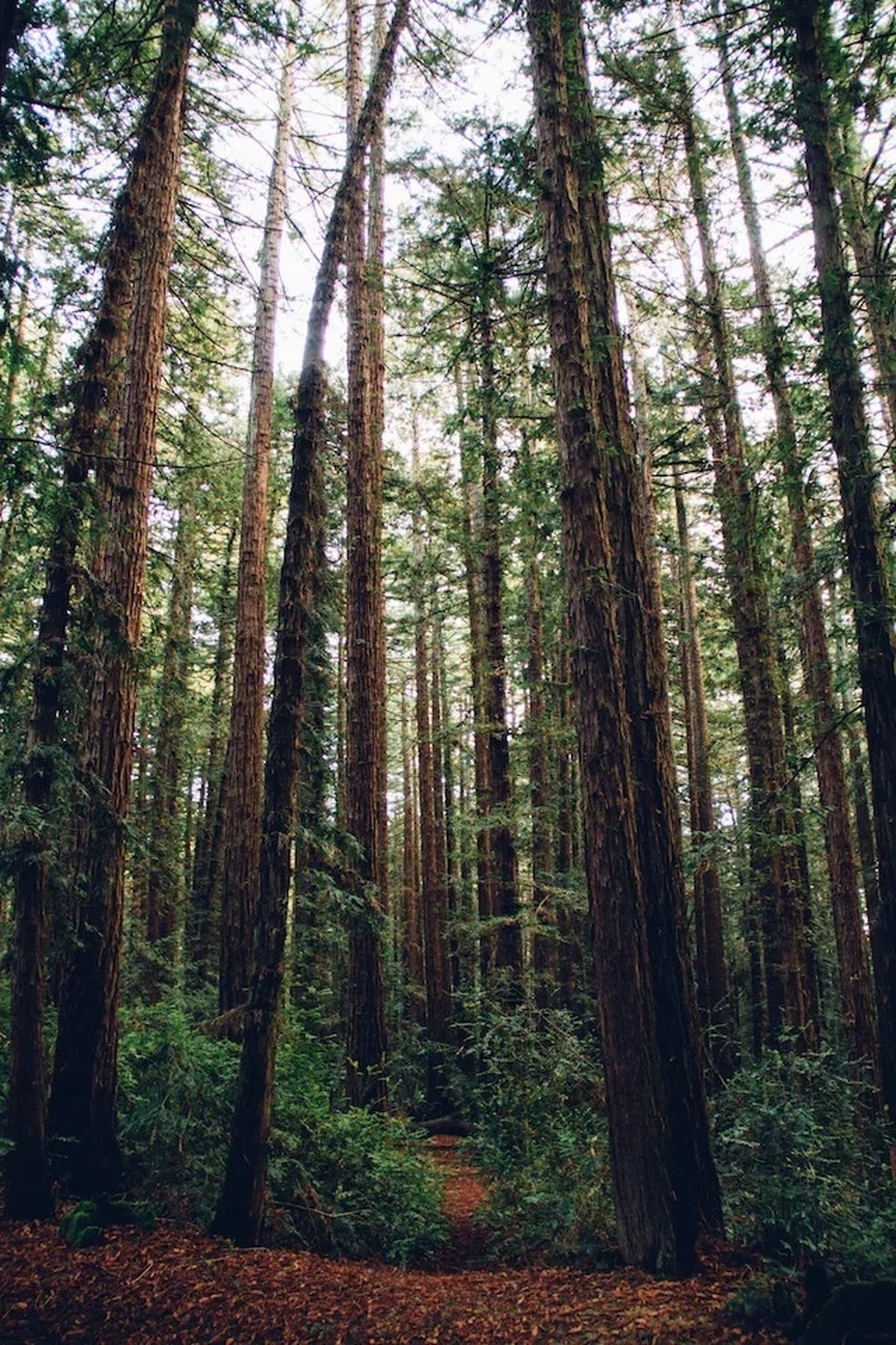 Image by Kyle Glenn on Unsplash