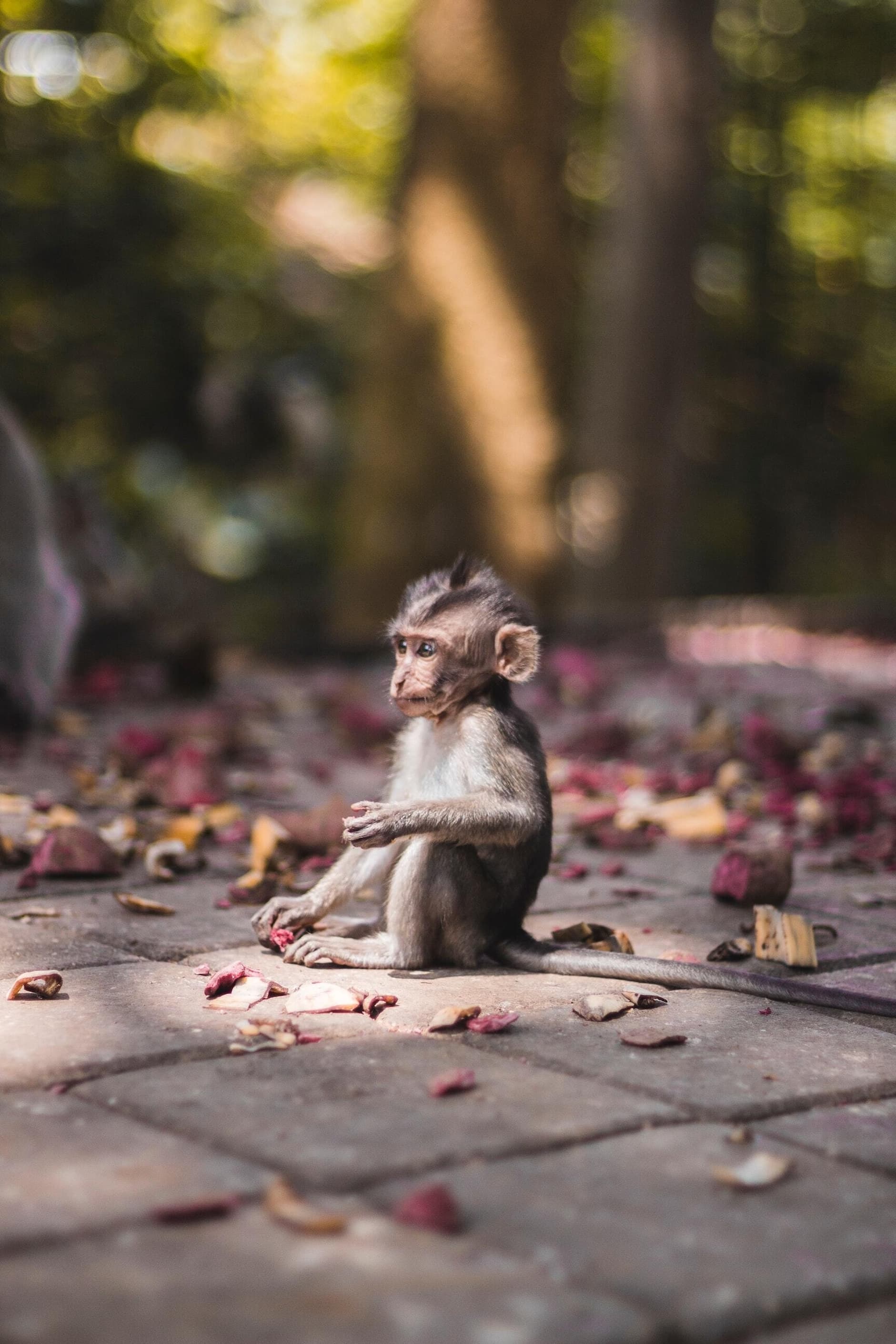 Image by Laura Cros on Unsplash