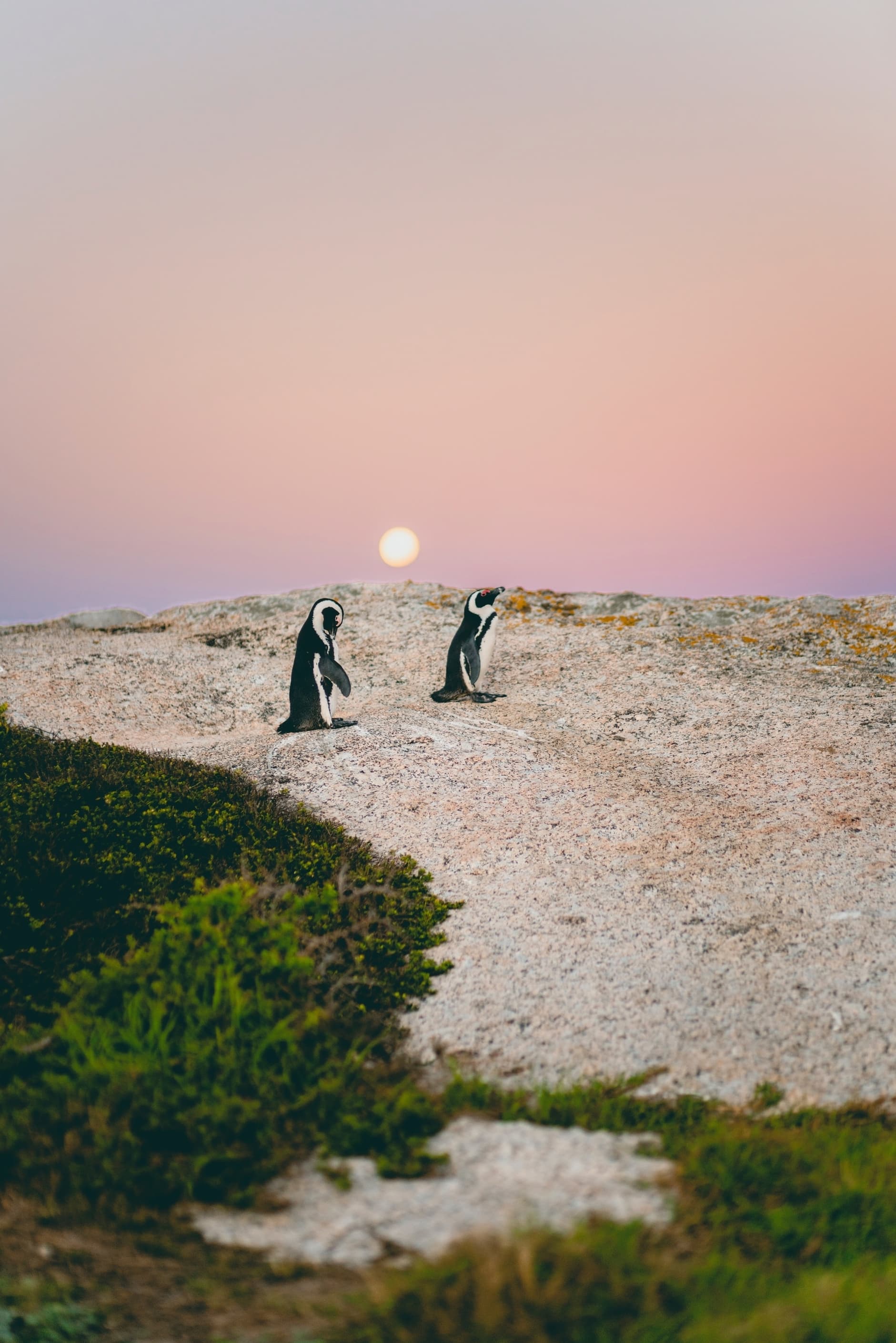 Image by Rachel Martin on Unsplash