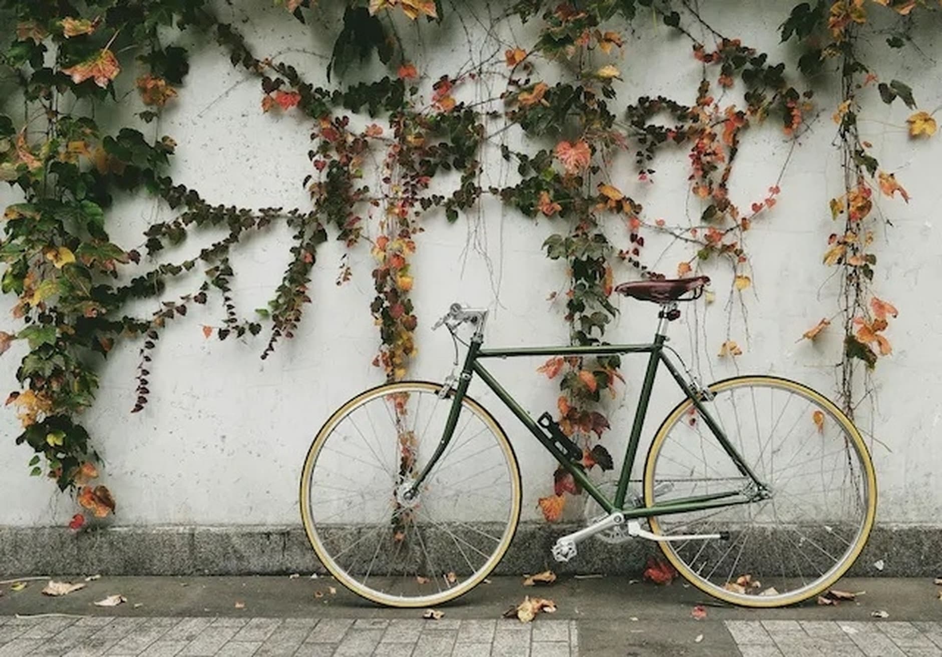 Image by Robin Popa on Unsplash