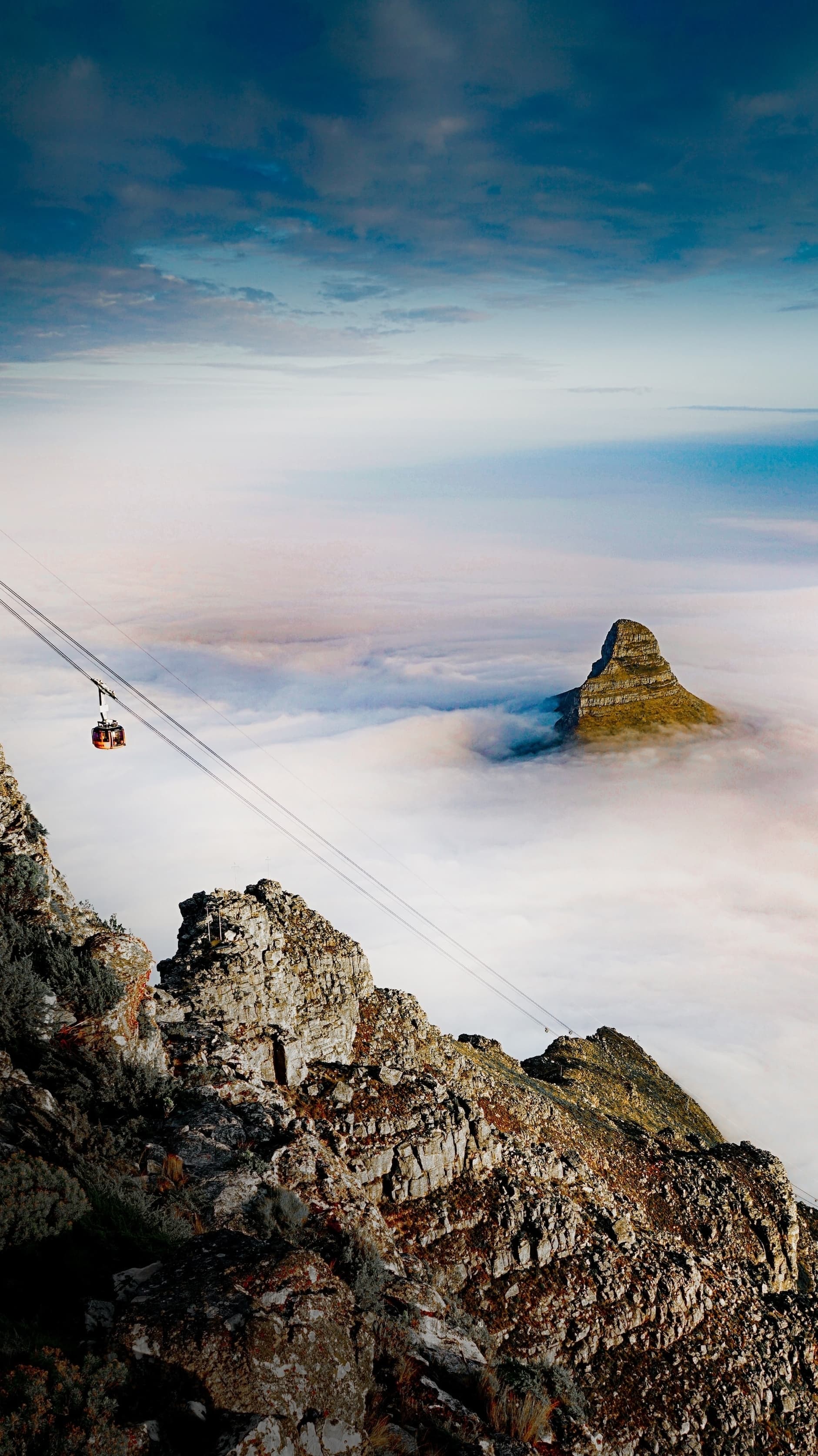 Image by Thomas Bennie on Unsplash