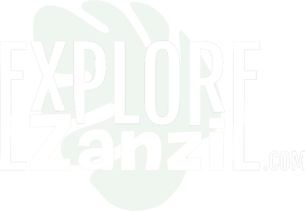 Explorezanzi logo white